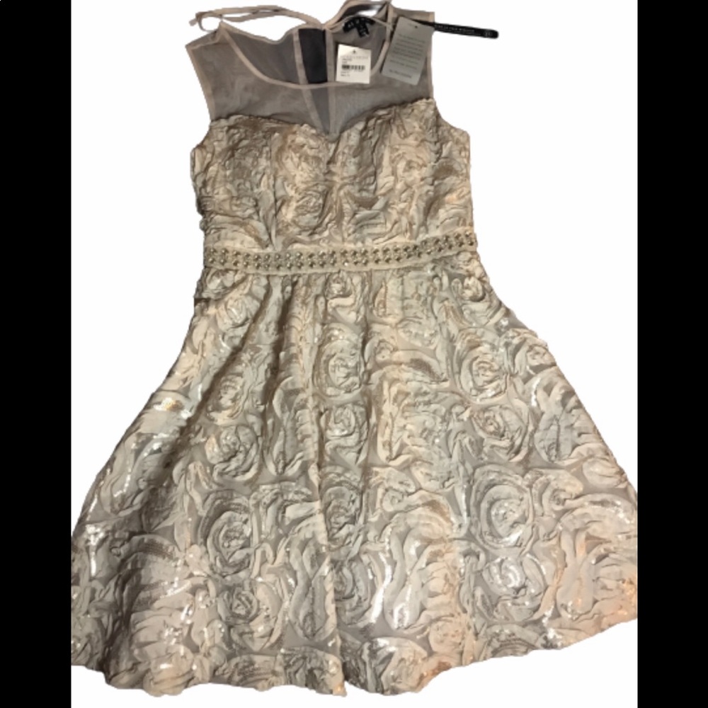 NWT!! Nordstrom Sequin and Tulle Dress Size 3